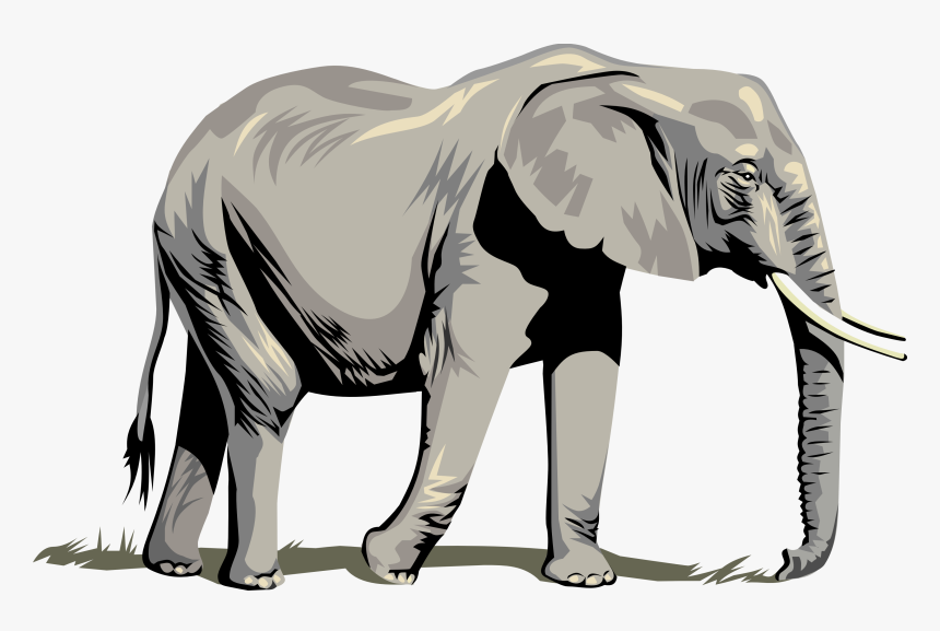 Side Drawing Baby Elephant - Elephant Vector, HD Png Download, Free Download