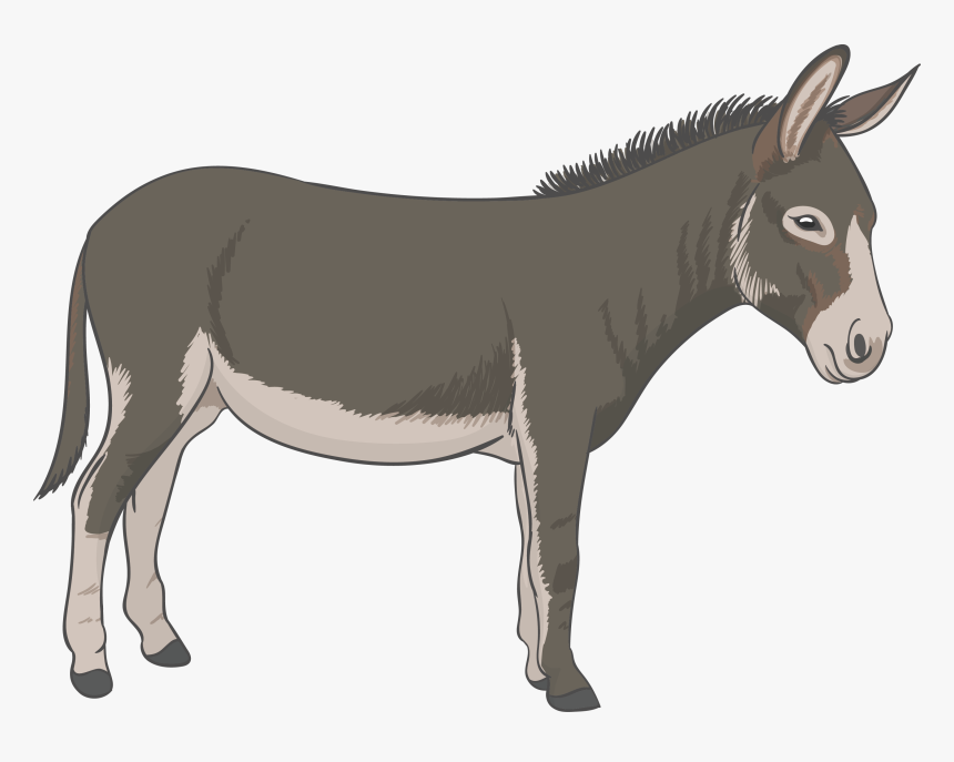 Donkey Vector Png Download - Donkey Png, Transparent Png, Free Download