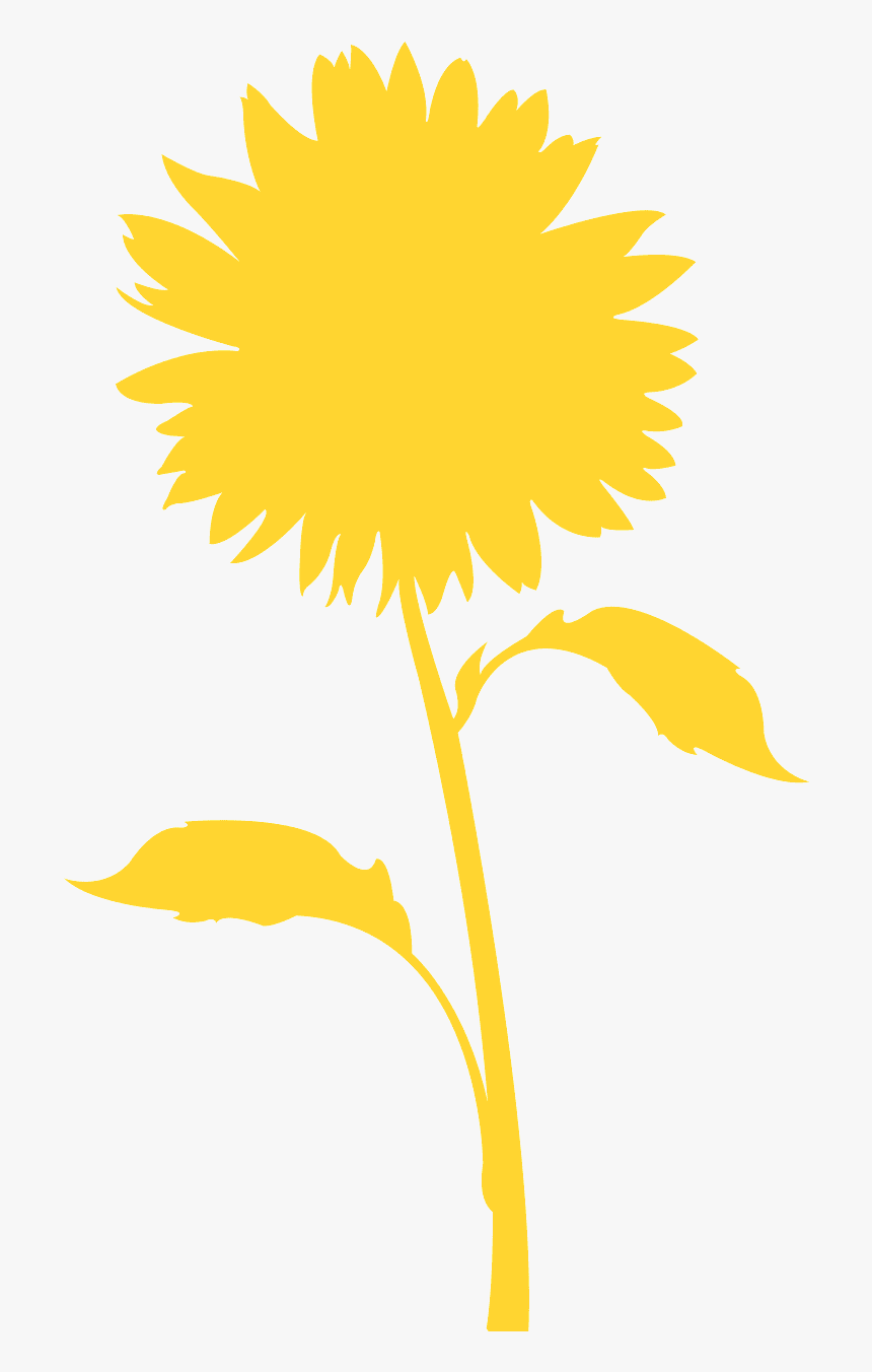 Sunflower, HD Png Download, Free Download