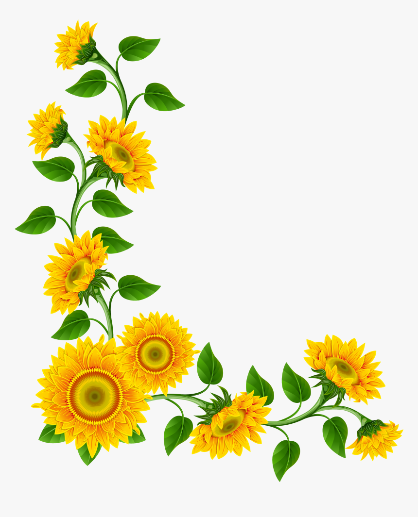 Sunflower Corner Border Png, Transparent Png, Free Download
