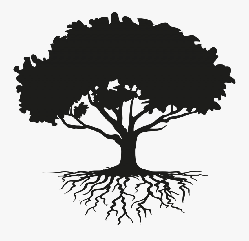 Tree Drawing Root Clip Art - Tree With Roots Silhouette, HD Png Download, Free Download