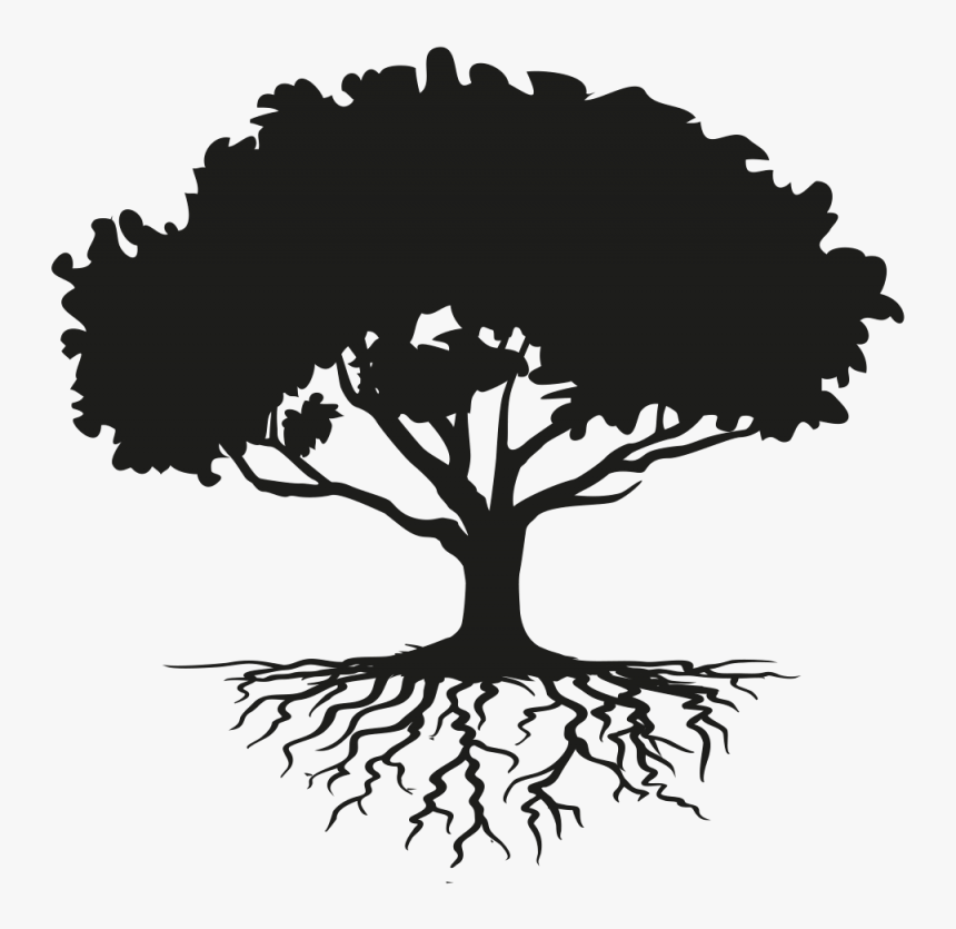 Tree Drawing Root Clip Art Tree With Roots Silhouette Hd Png