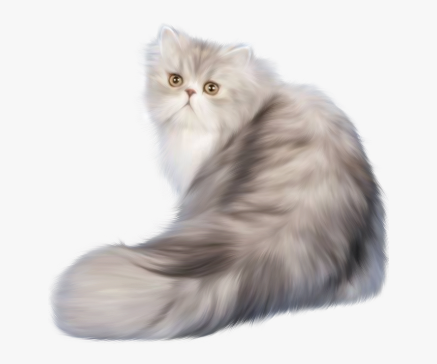 Cat Png Persian - Blue Persian Png, Transparent Png, Free Download