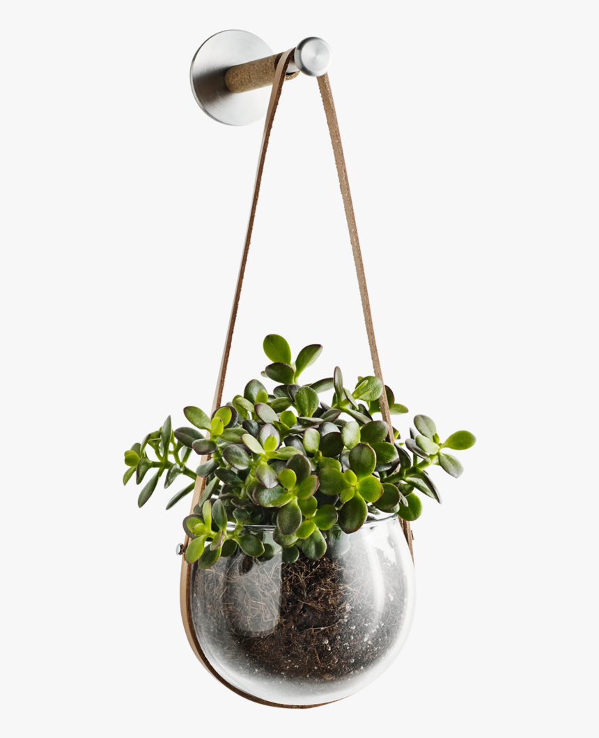 Transparent Flower Pot Png - Hanging Flower Pot Png, Png Download, Free Download