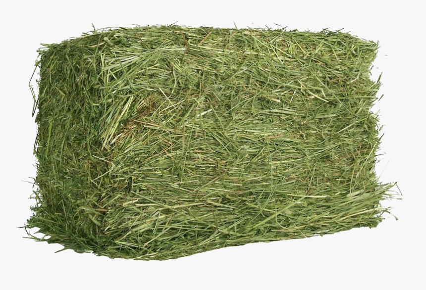 Square Hay Png Free Download - Timothy Hay, Transparent Png, Free Download