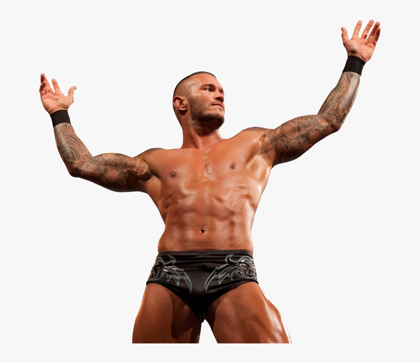 Transparent Randy Orton Rko Png - Randy Orton Rko Body, Png Download, Free Download