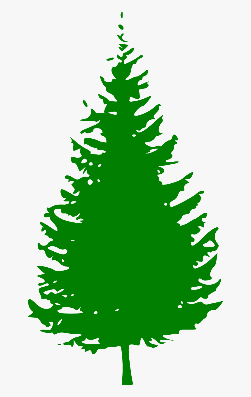 Evergreen Pine Green Fir Tree Png Image - Red Christmas Tree Clipart Png, Transparent Png, Free Download