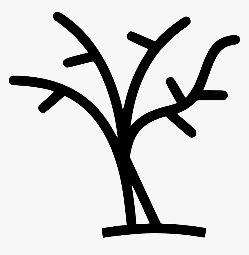 Tree With No Leaves - Tree Has No Leaves Black And White, HD Png Download, Free Download