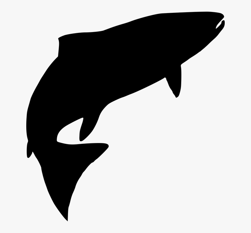 Fish Water Silhouette - Fish Silhouette, HD Png Download, Free Download