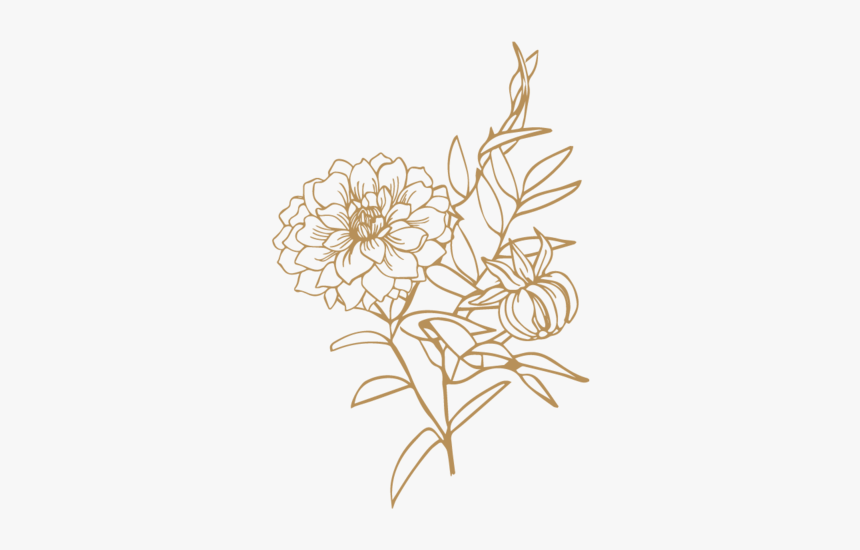 Alba Dahlia-08 - Illustration, HD Png Download, Free Download