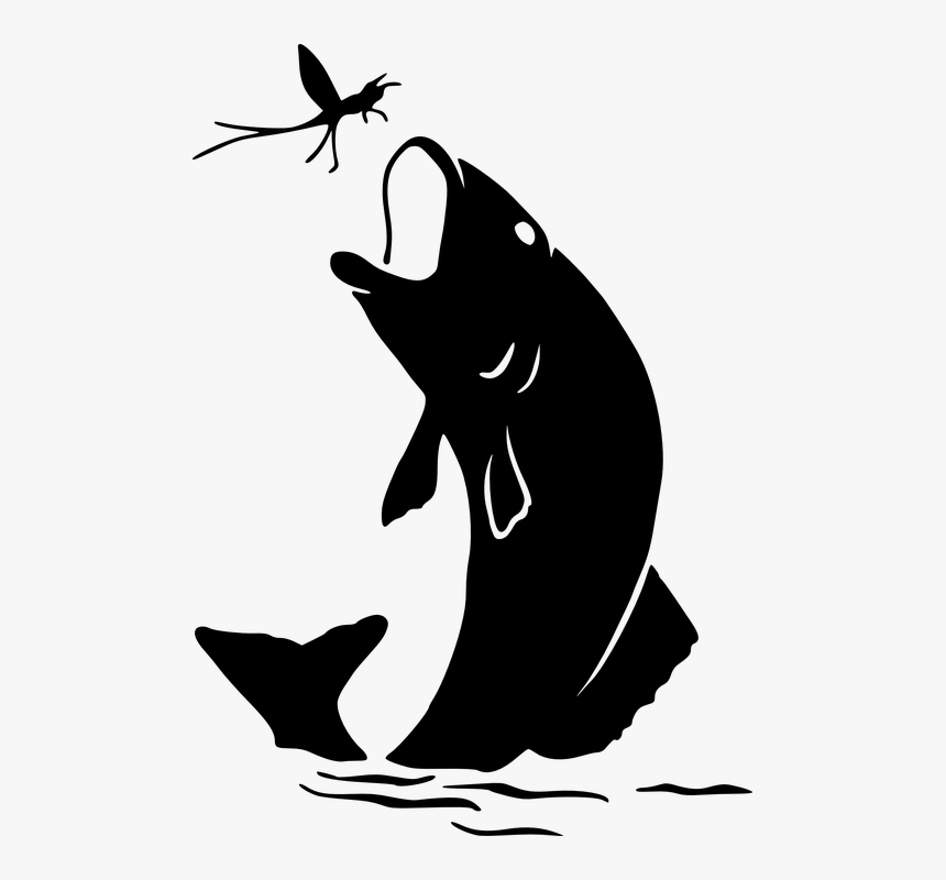 Clip Art Koi Fish Silhouette - Fishing Silhouette Clip Art, HD Png Download, Free Download