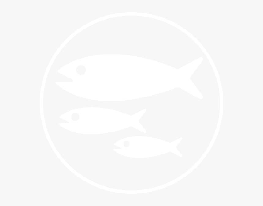 Transparent Fish Silhouette Clipart - White Fish Silhouette Png, Png Download, Free Download
