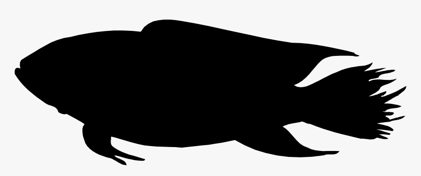 Fish Silhouette , Png Download - Fish Silhouette Hd, Transparent Png, Free Download