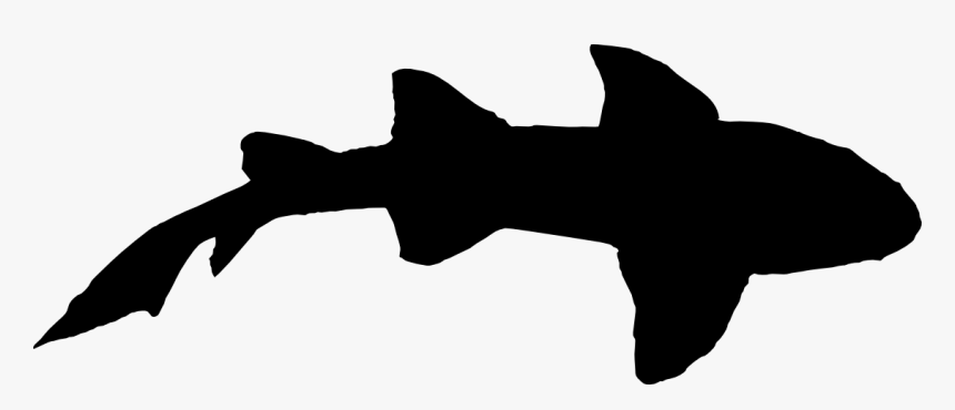 Shark Silhouette From Top, HD Png Download, Free Download