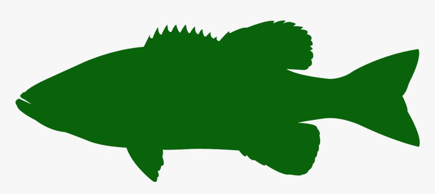 Silhouette Bass Fish Vector, HD Png Download, Free Download
