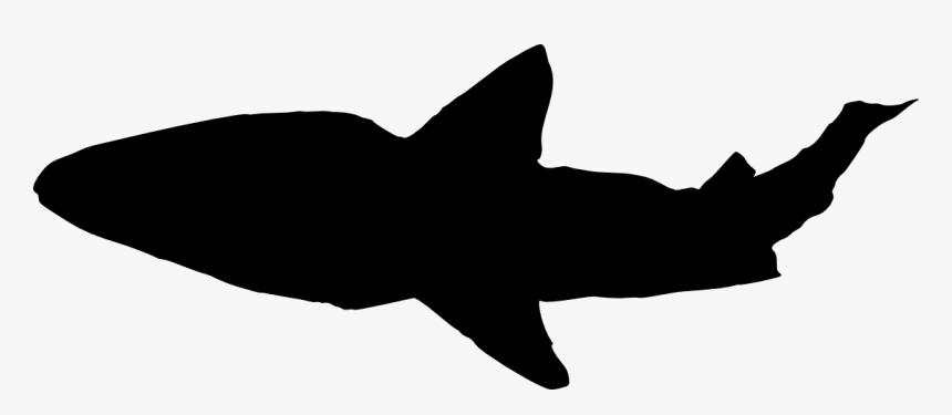 Art,cartilaginous Fish,fin,black And White,requiem - Portable Network Graphics, HD Png Download, Free Download