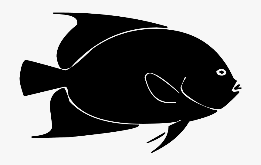 Fish Silhouette Png - Clip Art, Transparent Png, Free Download