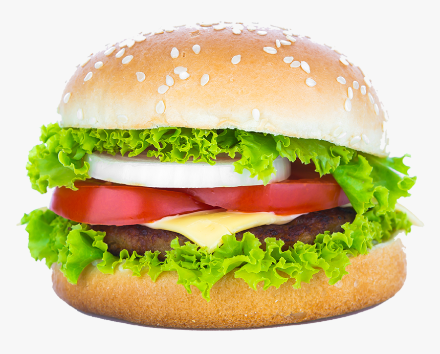 How Make Burger Html Beginner Tutorial - Lettuce Burger Psd, HD Png Download, Free Download