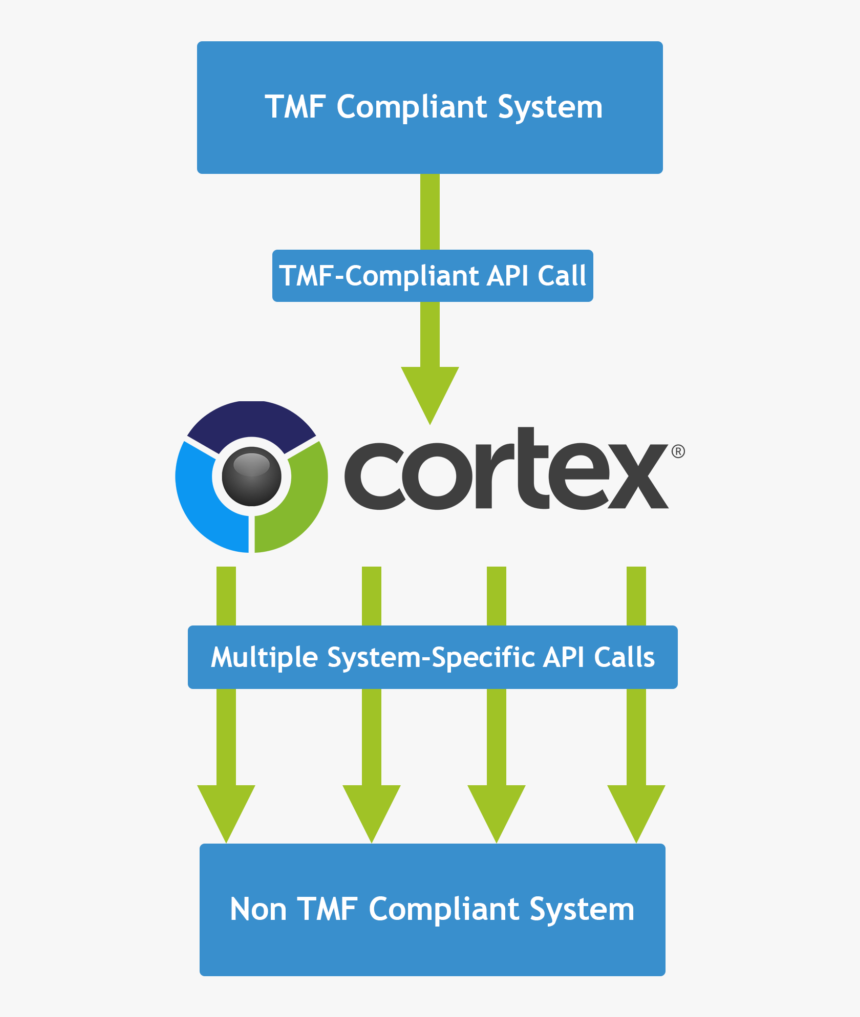 Cortex Tm Forum Naas Openapi Use Case - Graphic Design, HD Png Download, Free Download