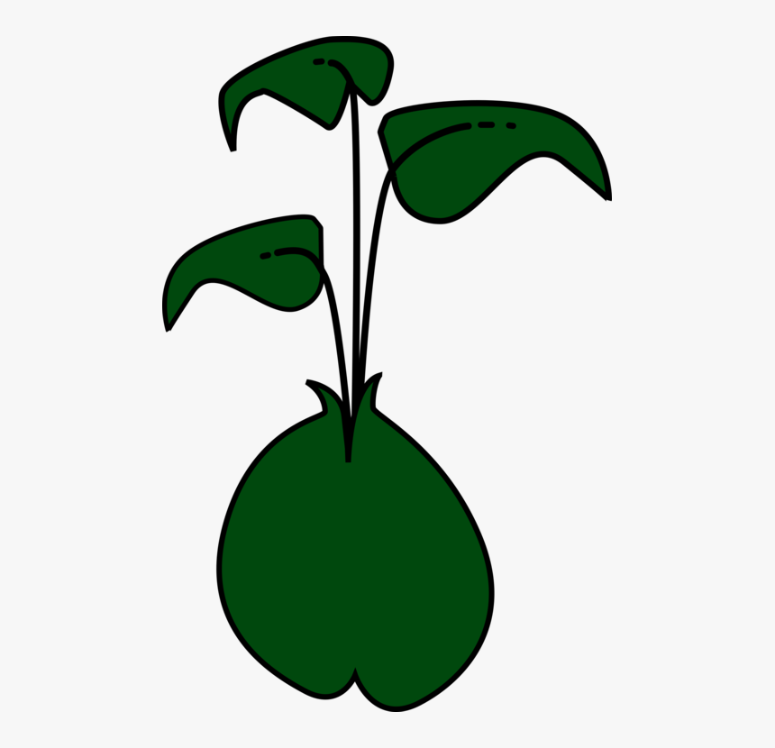 Plant,flora,leaf - Cartoon Alfalfa Sprouts, HD Png Download, Free Download