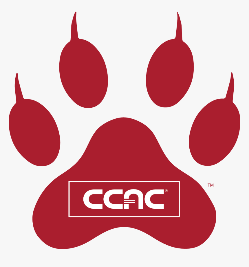 Wild Cat - Community College Of Allegheny County, HD Png Download, Free Download