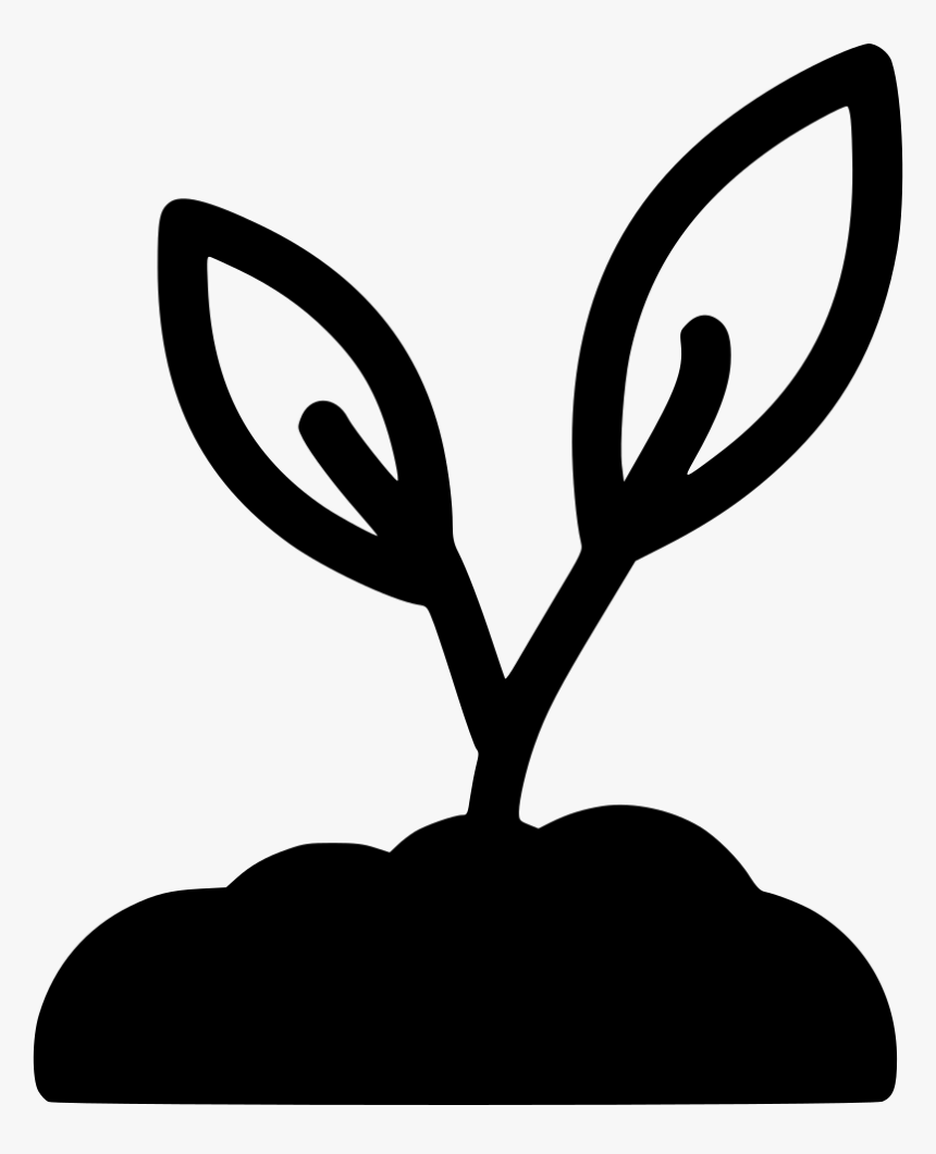 Growing Sprout - Bean Sprout Svg, HD Png Download, Free Download