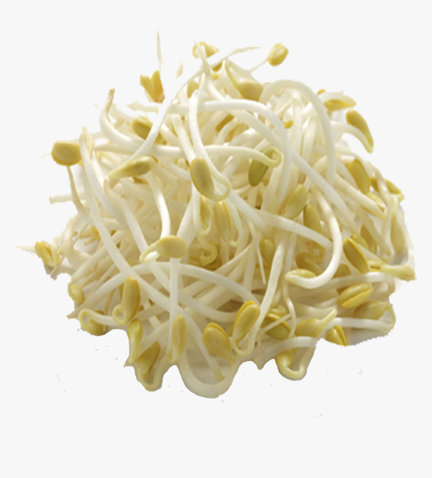 Bean Sprouts Nutrition , Png Download - Bean Sprouts, Transparent Png, Free Download