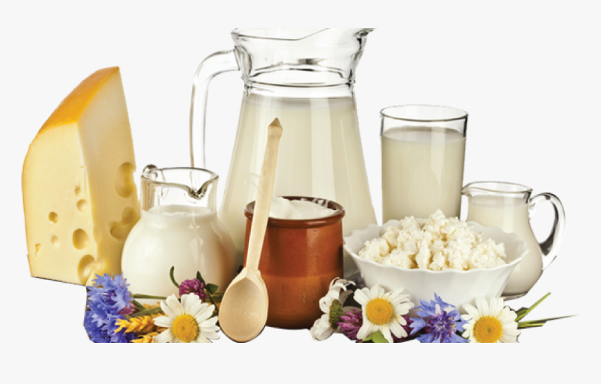 Tri-gold Venture Int"l Corporation - Dairy Products Images Png, Transparent Png, Free Download