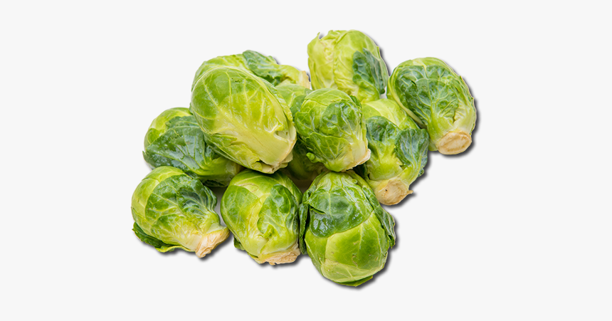 Brussels Sprout, HD Png Download, Free Download