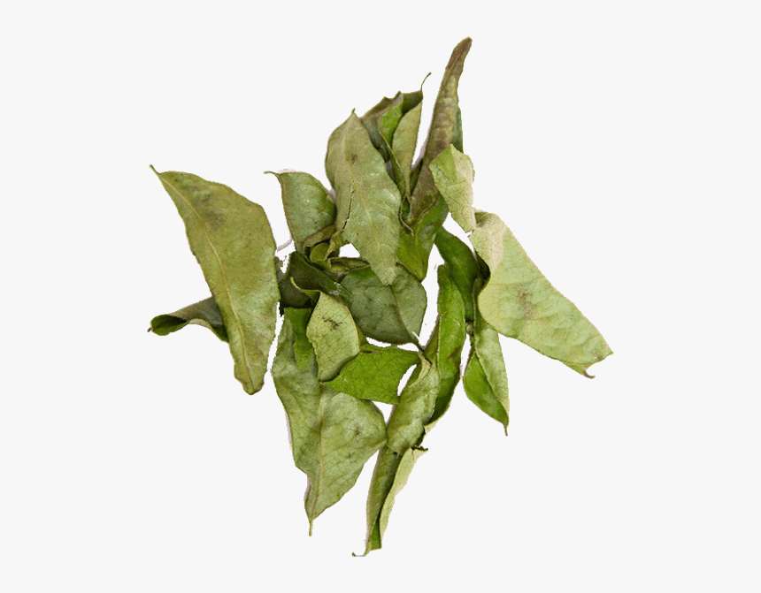 Curry Leaves Dried, HD Png Download, Free Download