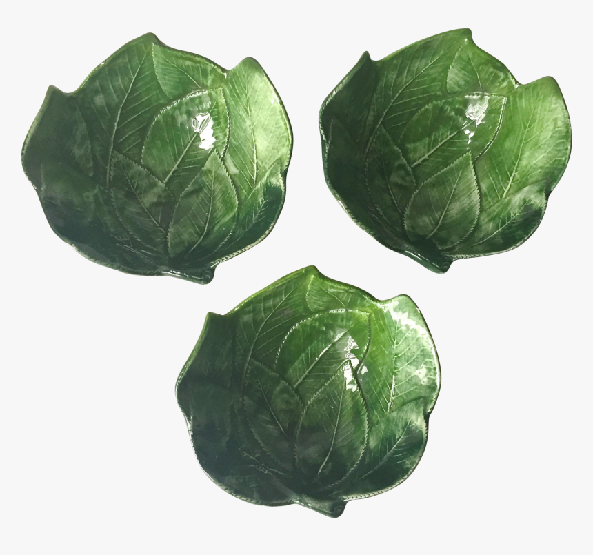 Brussels Sprout - Chard, HD Png Download, Free Download