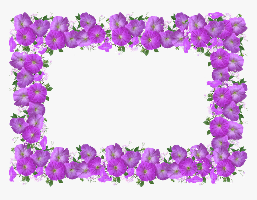 Frame, Border, Petunia, Floral Decoration - Flower Dukacita, HD Png Download, Free Download