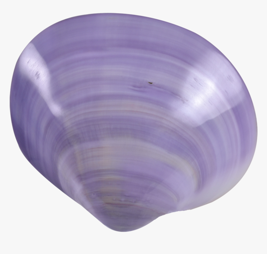 Baltic Clam - Sphere, HD Png Download, Free Download