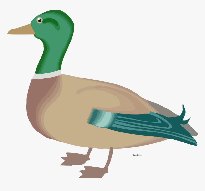 Farm Animal Duck Clipart, HD Png Download, Free Download