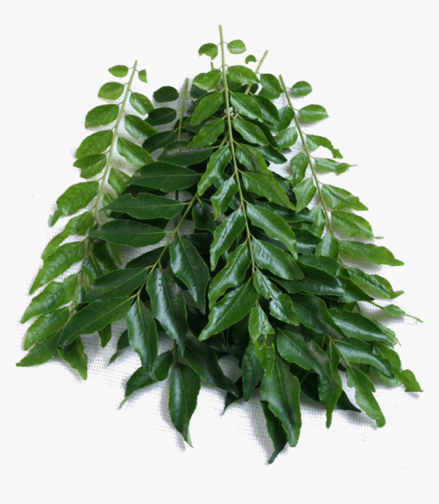 Vegetables Curry Leaves, HD Png Download, Free Download