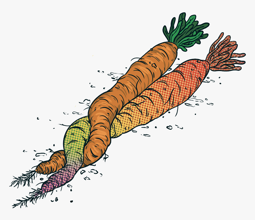 Jarrybriefs Vegan Carrots - Illustration, HD Png Download, Free Download