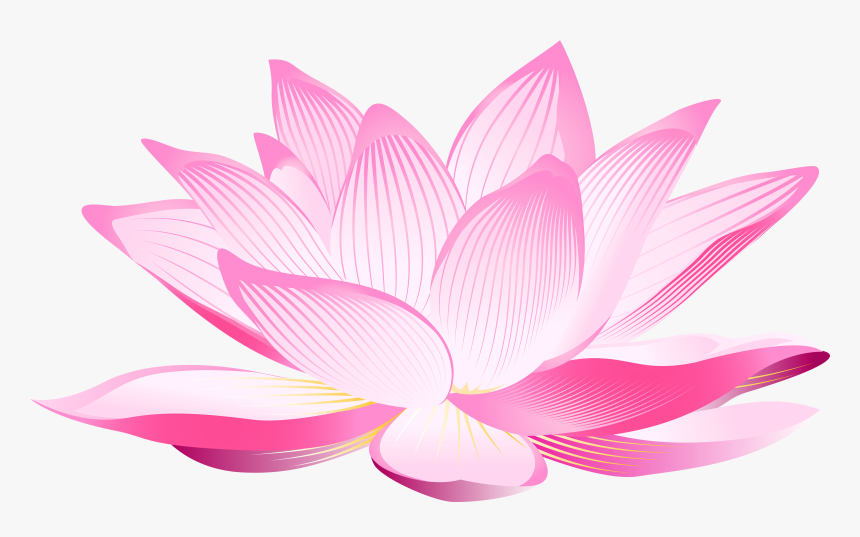 Lotus Flower Transparent Background, HD Png Download, Free Download