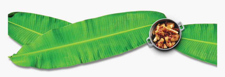 Full Banana Leaf Png Hd , Png Download - Banana Leaf Png, Transparent Png, Free Download