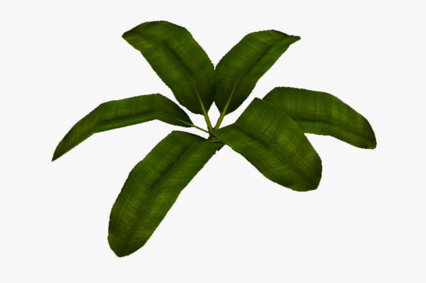 Transparent Banana Leaf Png - Herb, Png Download, Free Download