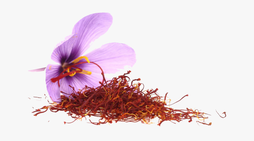 Saffron Png, Transparent Png, Free Download