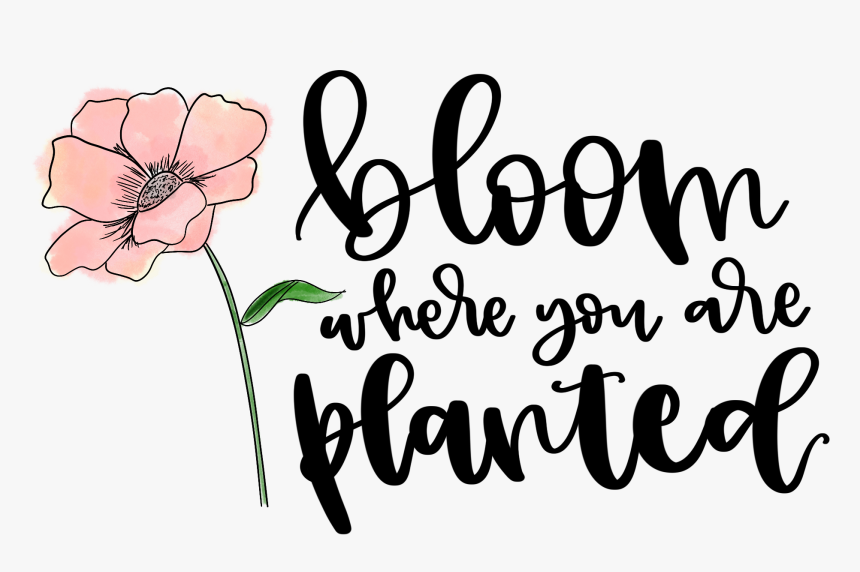Bloom Where You Are Planted Hand Lettering, HD Png Download, Free Download