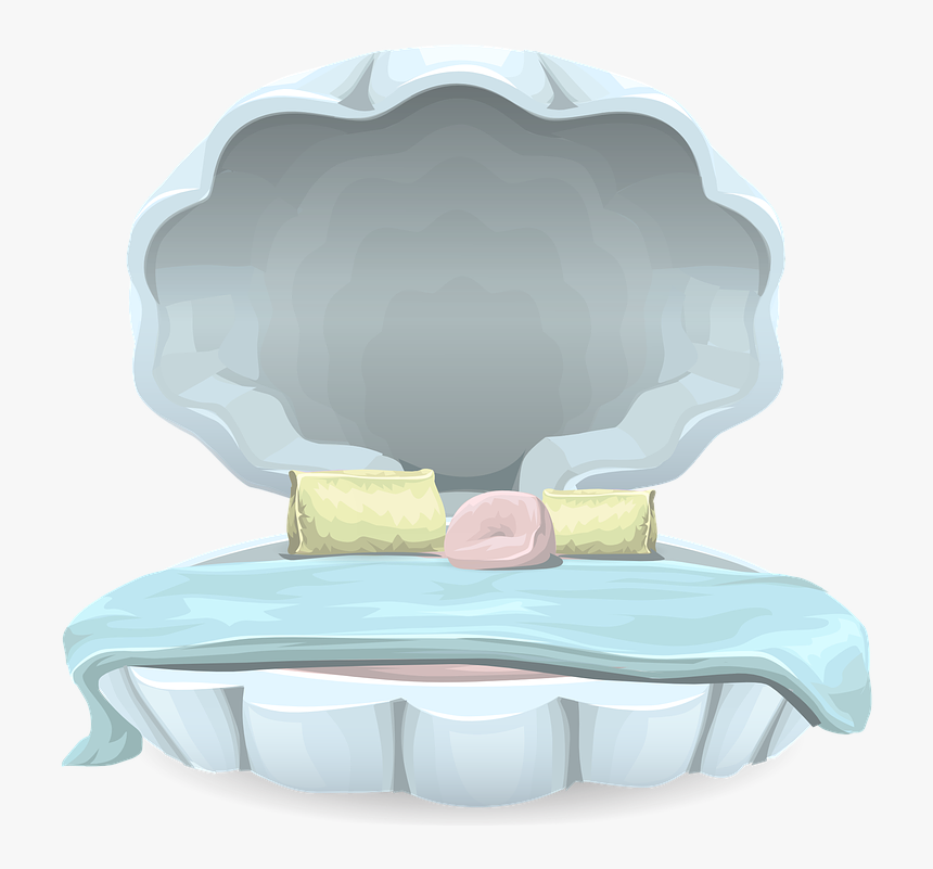 Clams Clipart Transparent - Clam Bed, HD Png Download, Free Download