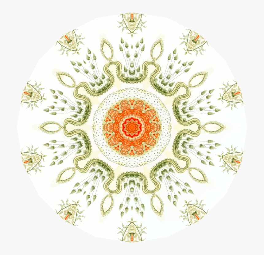 Visual Arts,plant,symmetry - Ernst Haeckel Sea Life, HD Png Download, Free Download