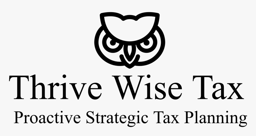 Owl, HD Png Download, Free Download