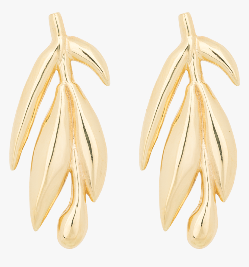 Banana Leaf Earring - Earrings, HD Png Download, Free Download