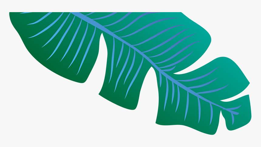 Header Leaf Image - Blue Banana Leaf Png, Transparent Png, Free Download