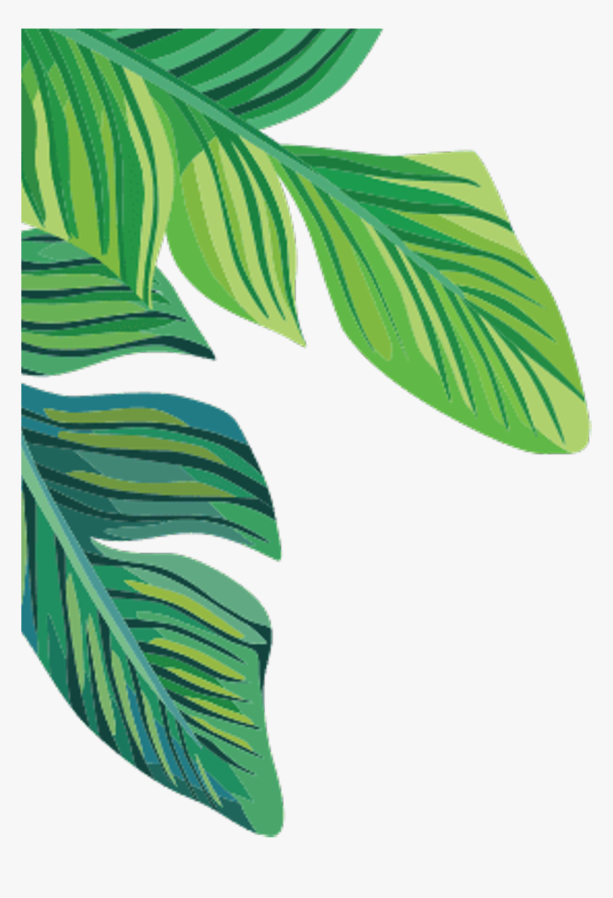 Banana Leaf Transparent Background , Png Download - Banana Leaves Transparent Background, Png Download, Free Download