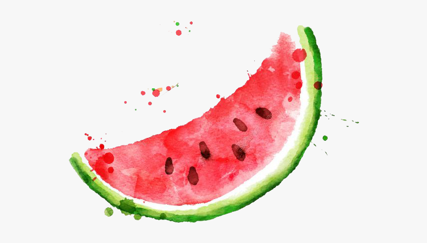 Watermelon Watercolor Png, Transparent Png, Free Download