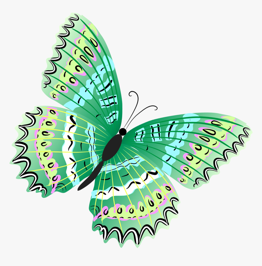 Butterfly Png Green - Green Butterfly Clipart, Transparent Png, Free Download