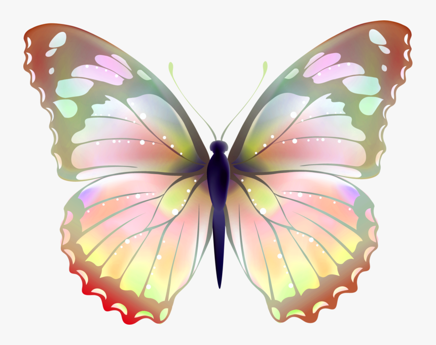 Butter Fly Png, Transparent Png, Free Download